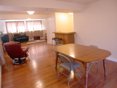 Lower level fireplace